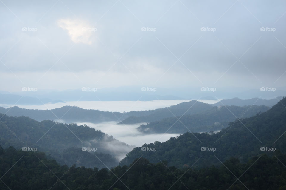 Sea of mist on the mountain.