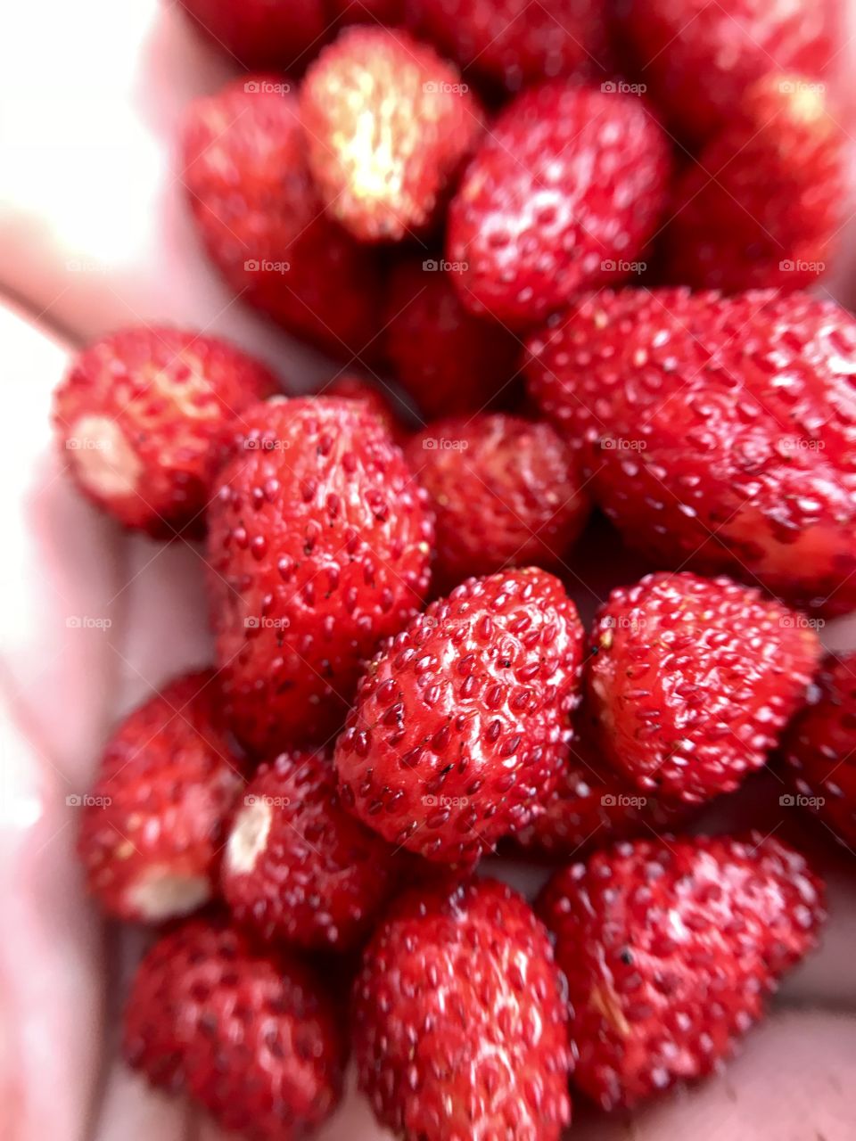 Strawberries