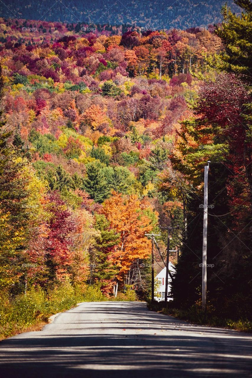 Who wouldn’t love the country side when it’s autumn? Simply breathtaking 