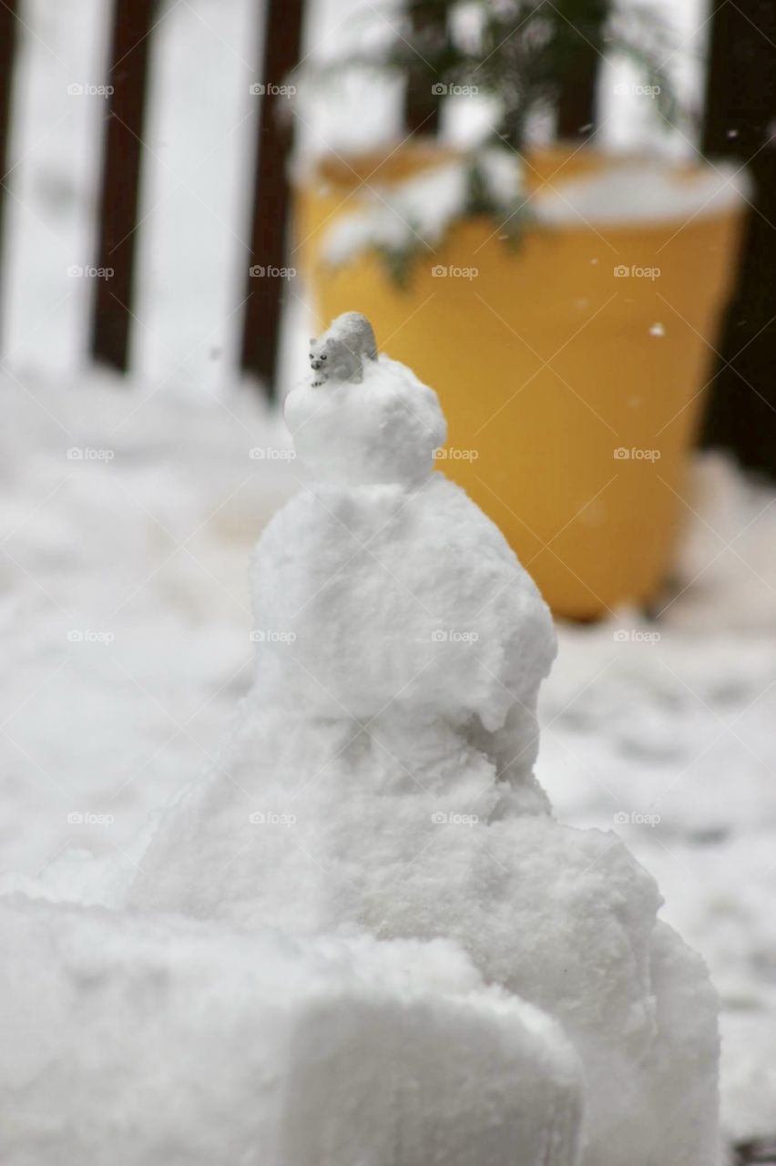 Snowman with polar bear on his head 