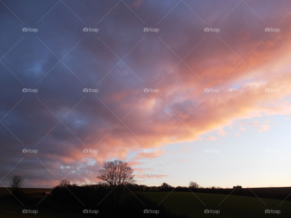 Distant Tree At Sunset