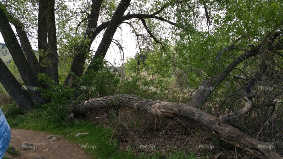 Nature's Beauty Hike