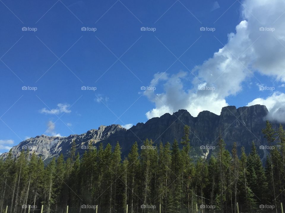 Mountain, No Person, Snow, Wood, Nature