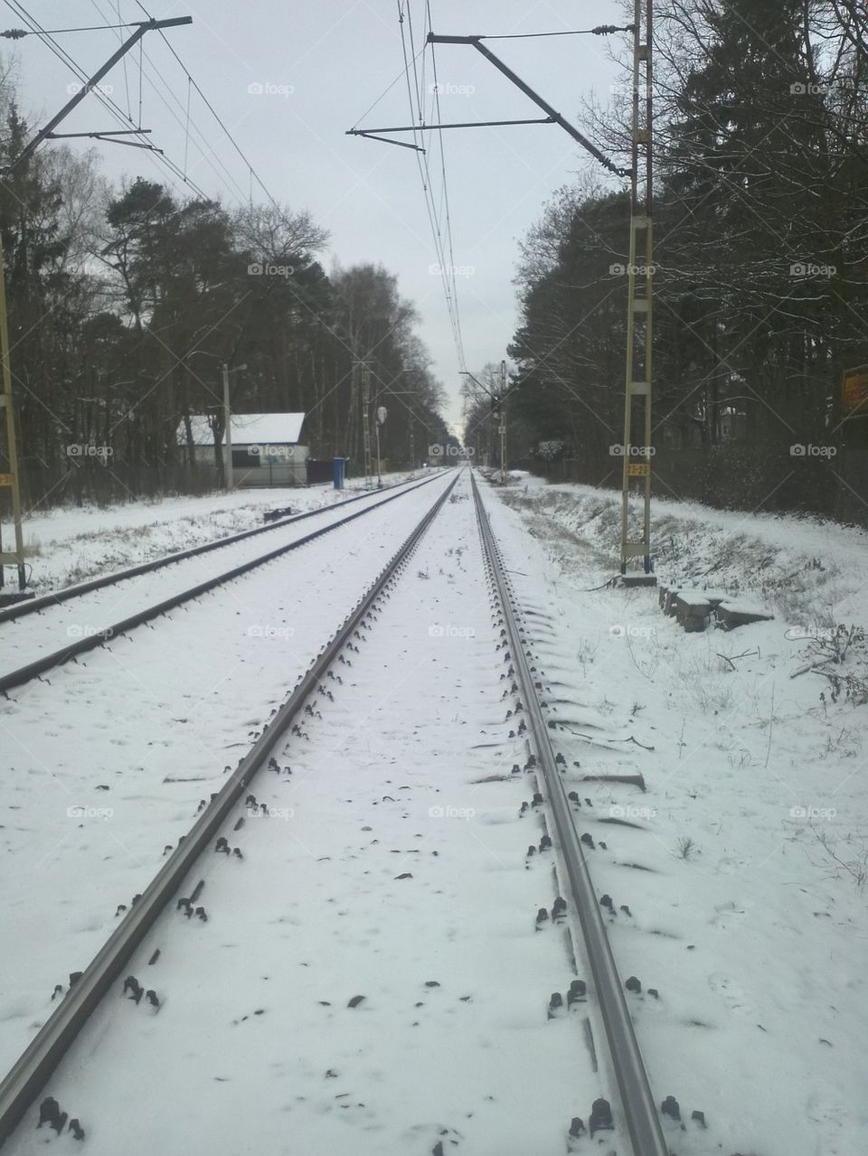 Winter rail track