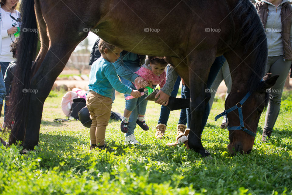 teaching kids how to brush horse's hooves