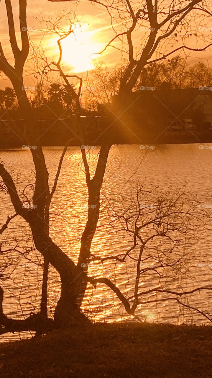 Evening Sun Setting Over Lake Waters. Reflections of Sun Rays on Lake evening colors captivate the scenery. 