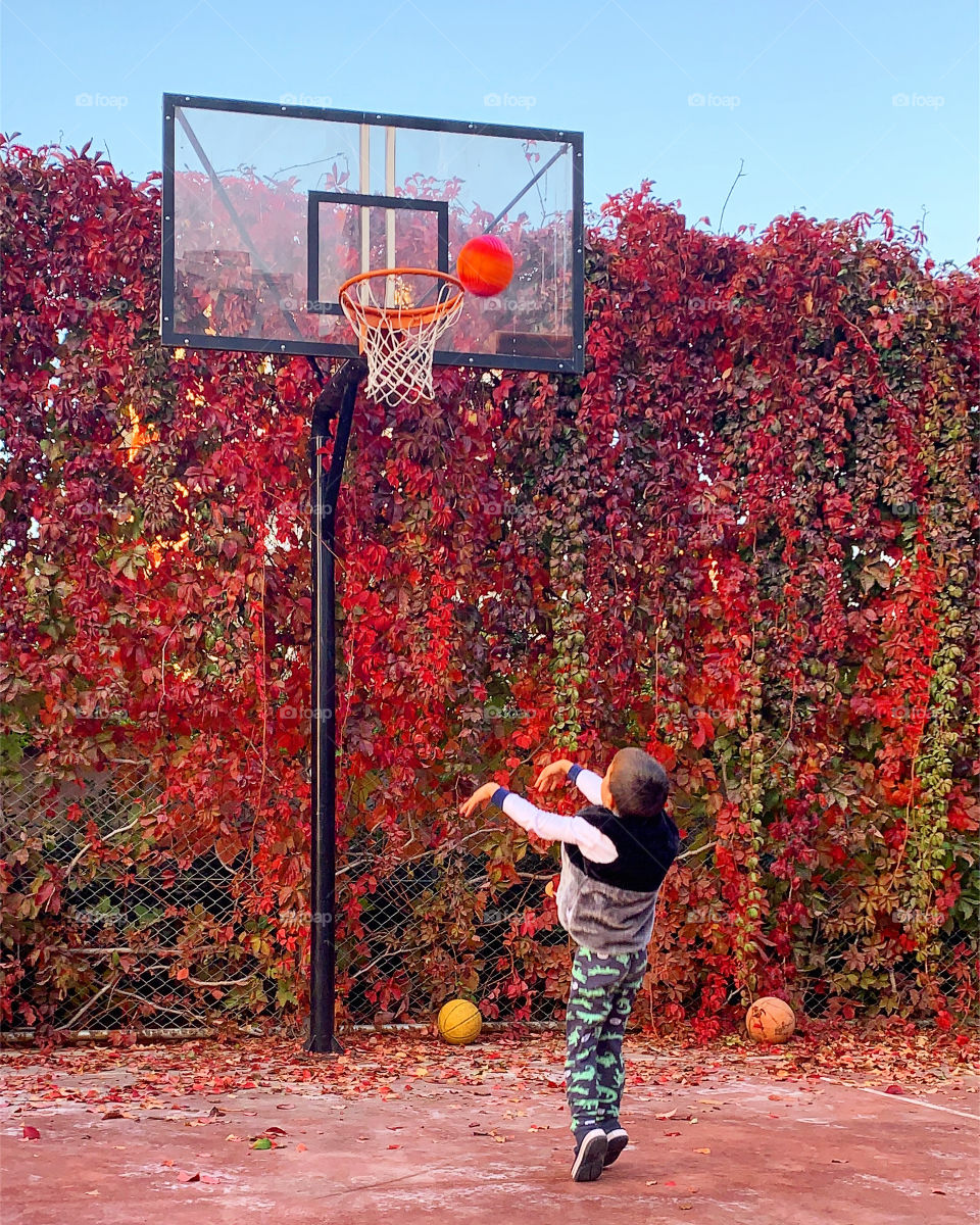 Basketball 