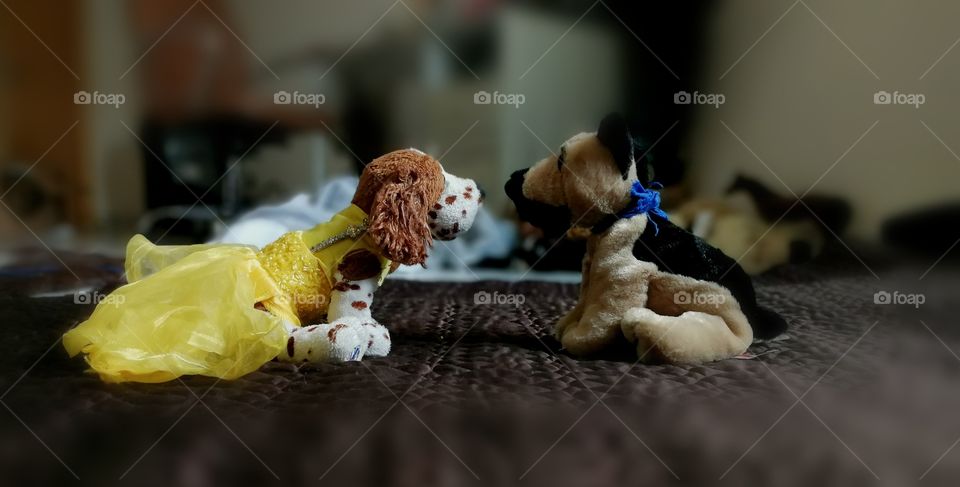 Sharing the Joy of stuffed animals