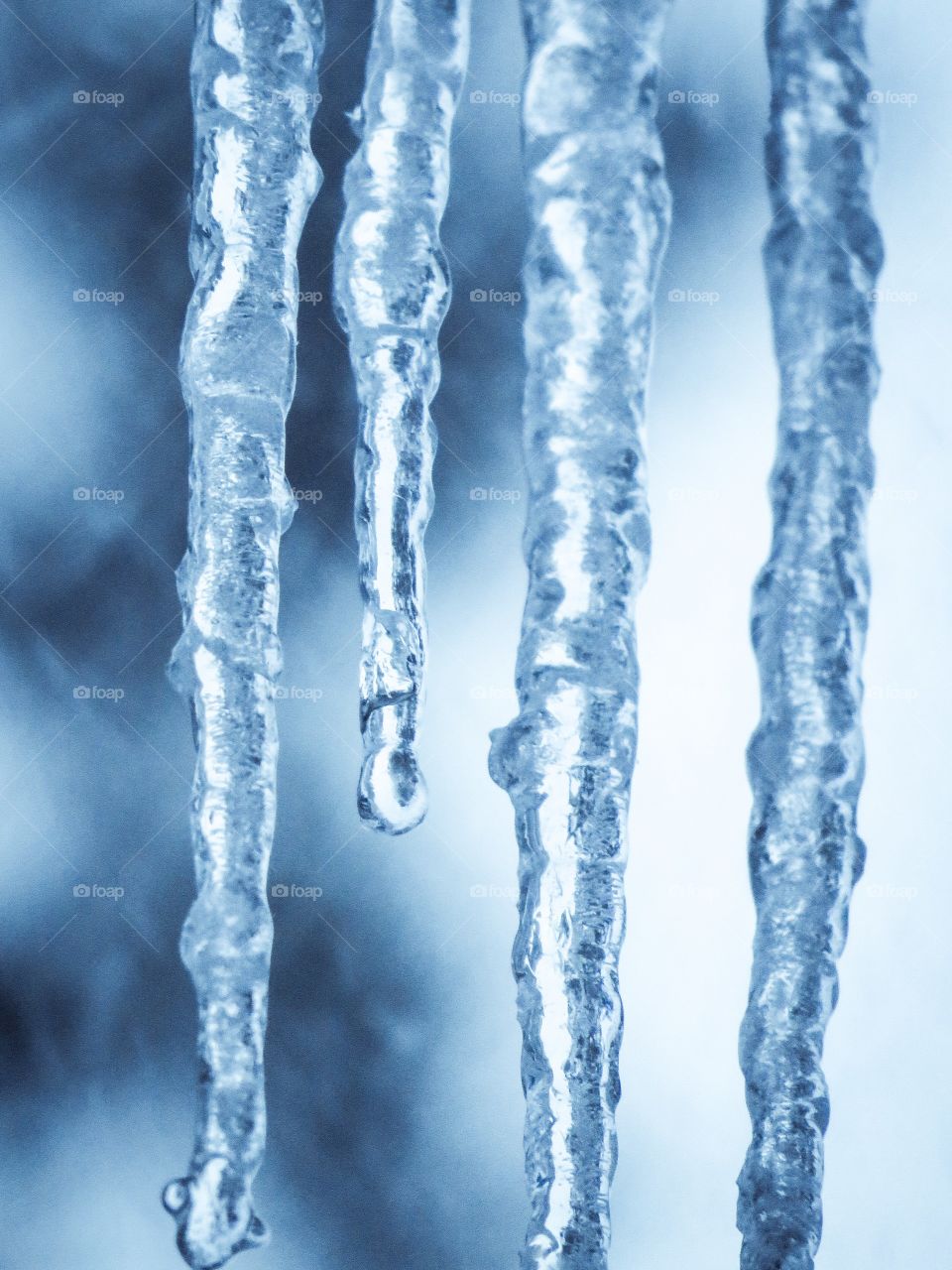 Icicle drips