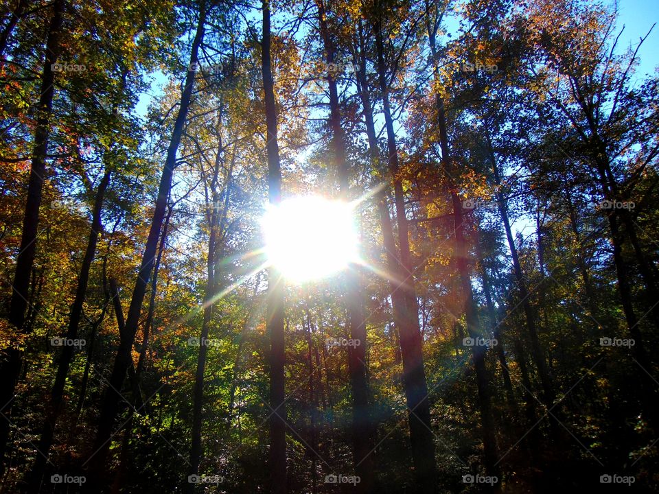 A beautiful Autumn day in Virginia!!