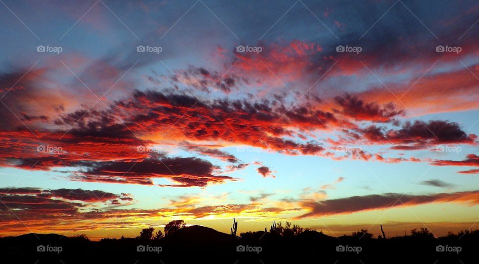 Arizona sunsets