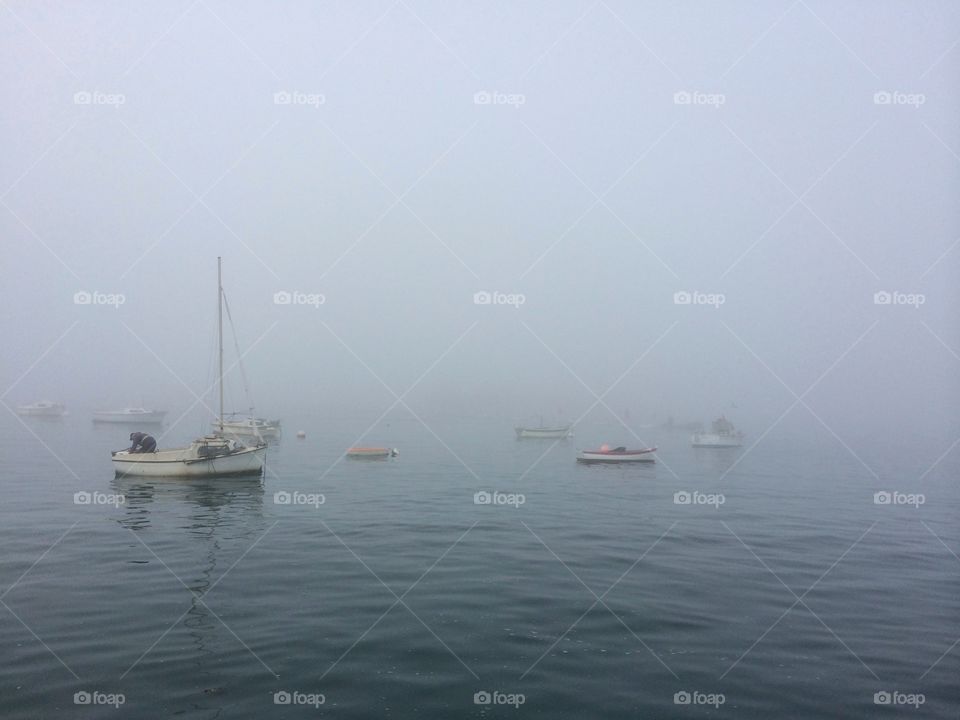 Fog Boats