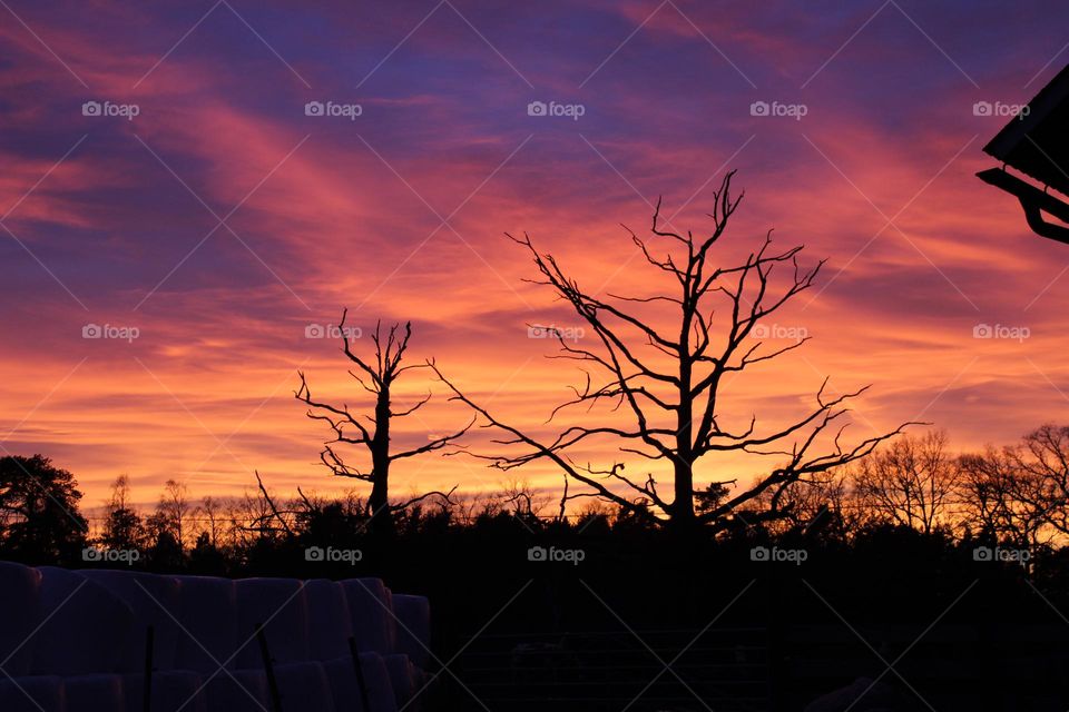 Awesome spectacle in the sky at sunset