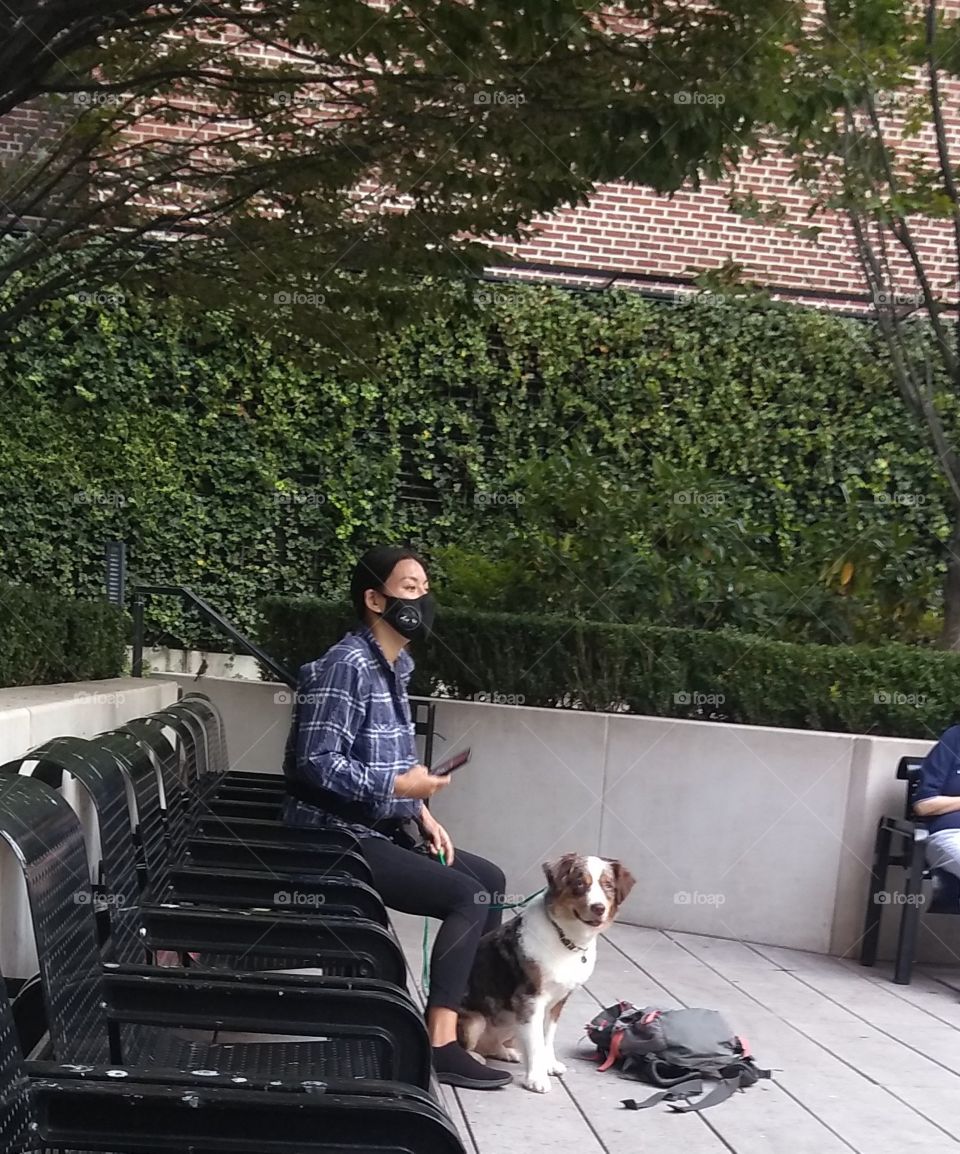 Owner and Dog in Park with Facemask on