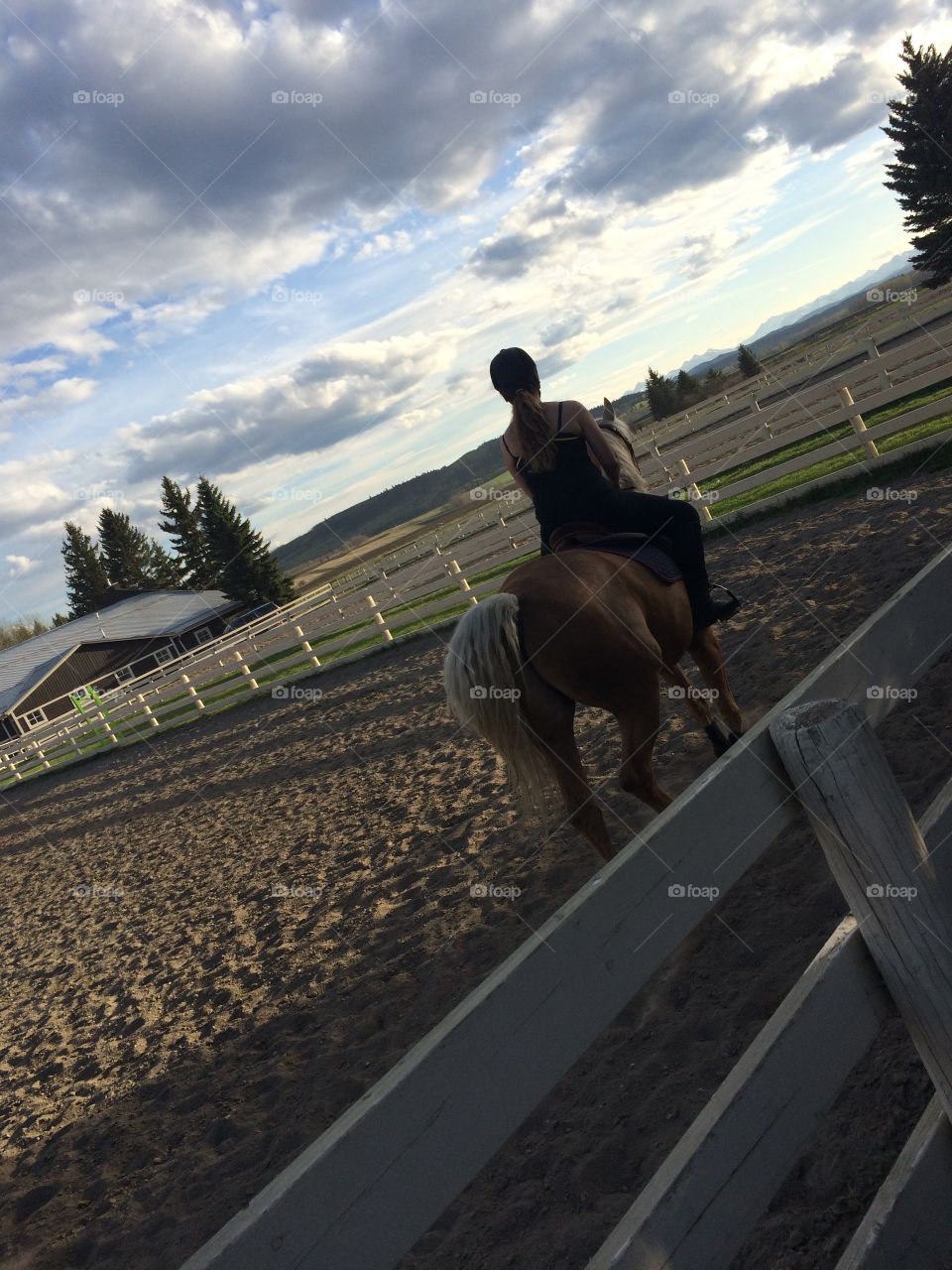 Horseback riding ❤️