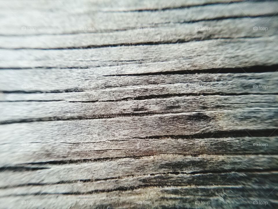 wood