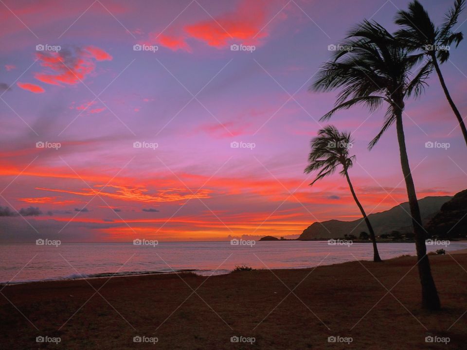 Tropical Sunset 