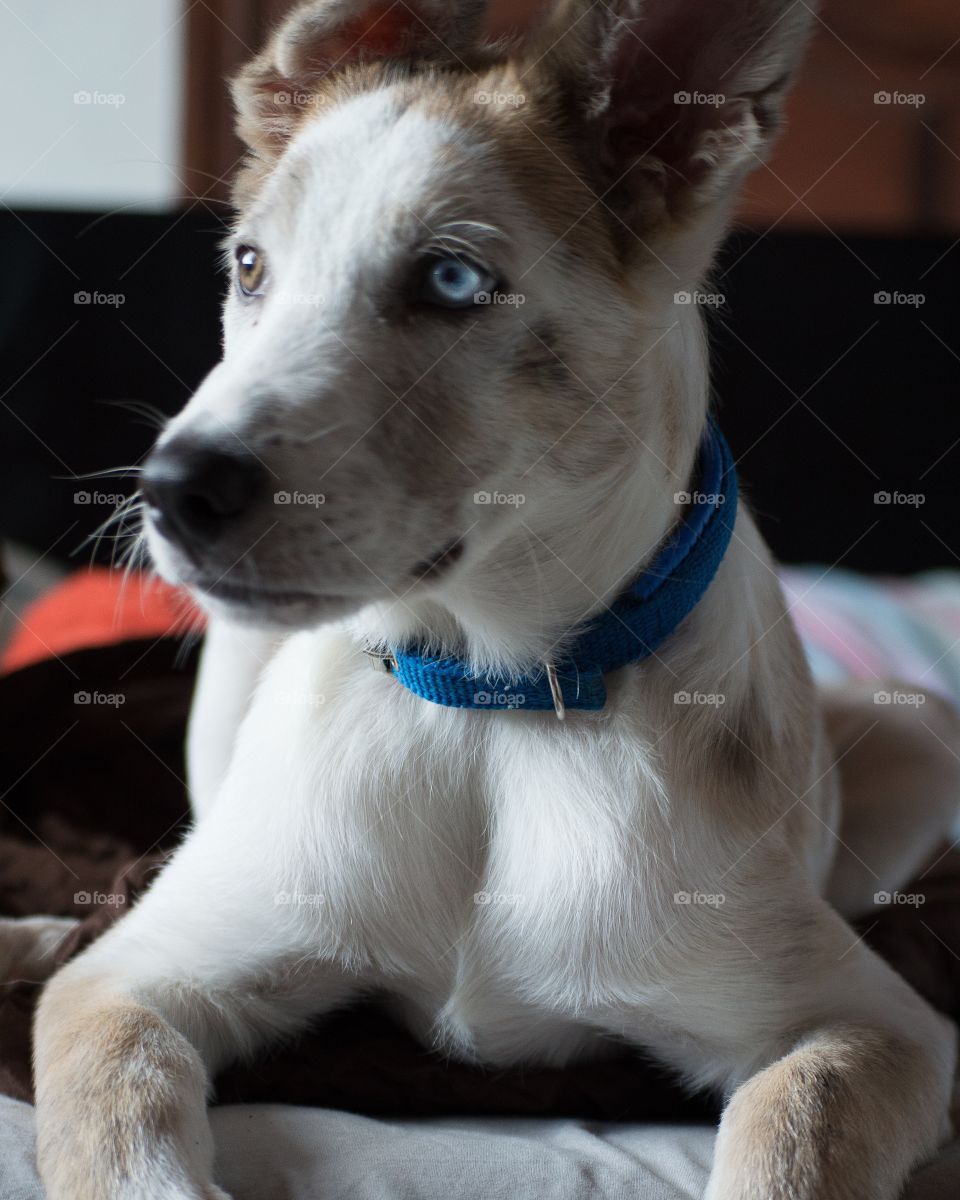 Sky has a dramatic side