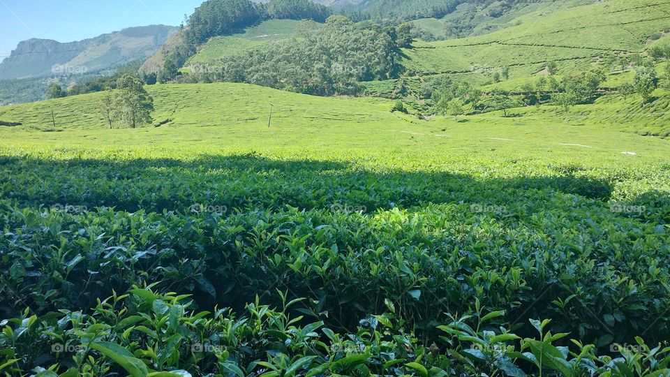 A walk in nature walks the soul back home.” – ...