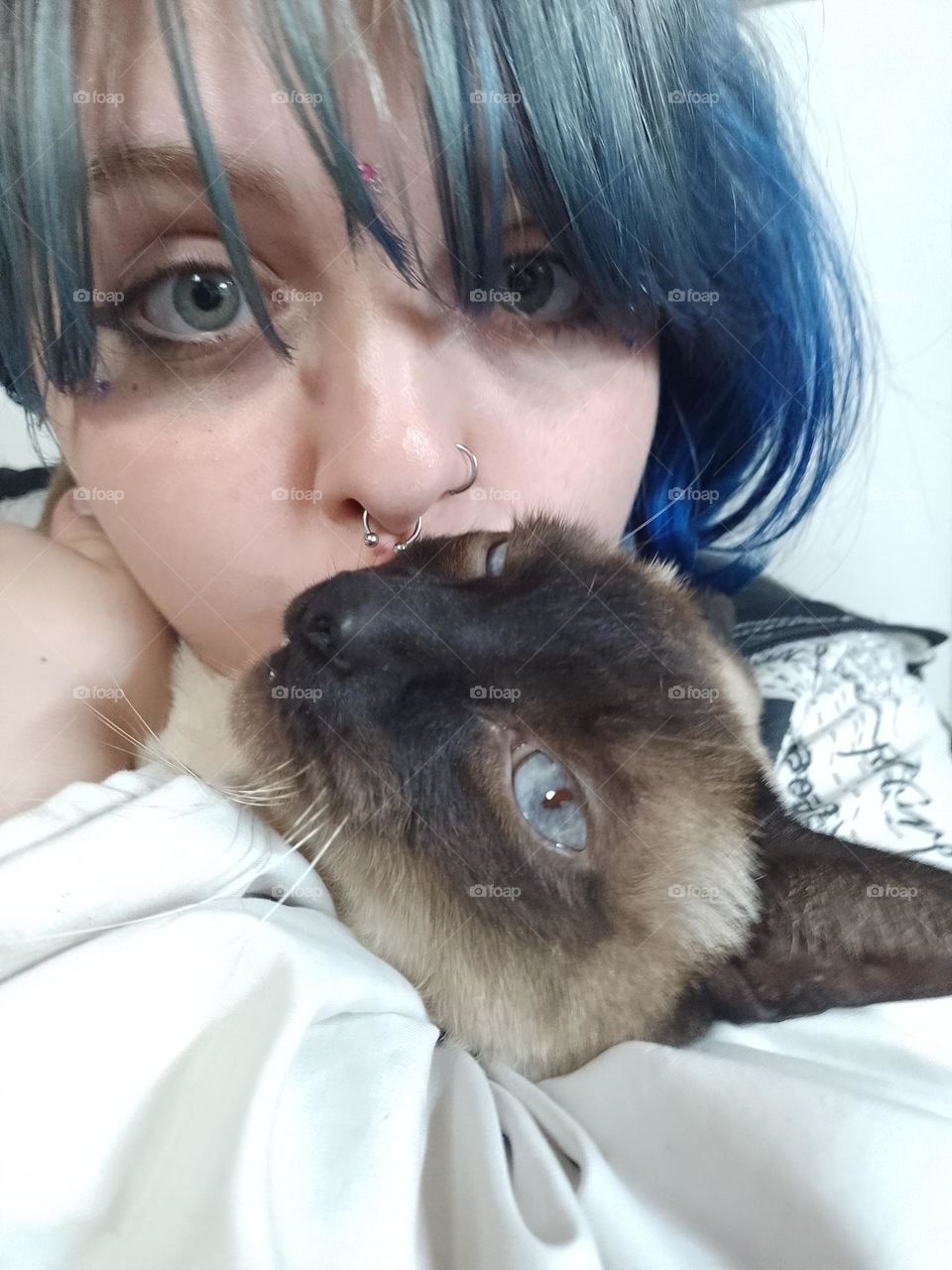 adolescente de pelo azul y piercing, abrazando a un gato siamés y dándole besos