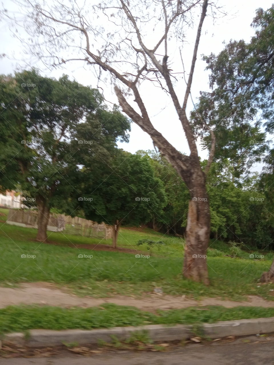 A praça