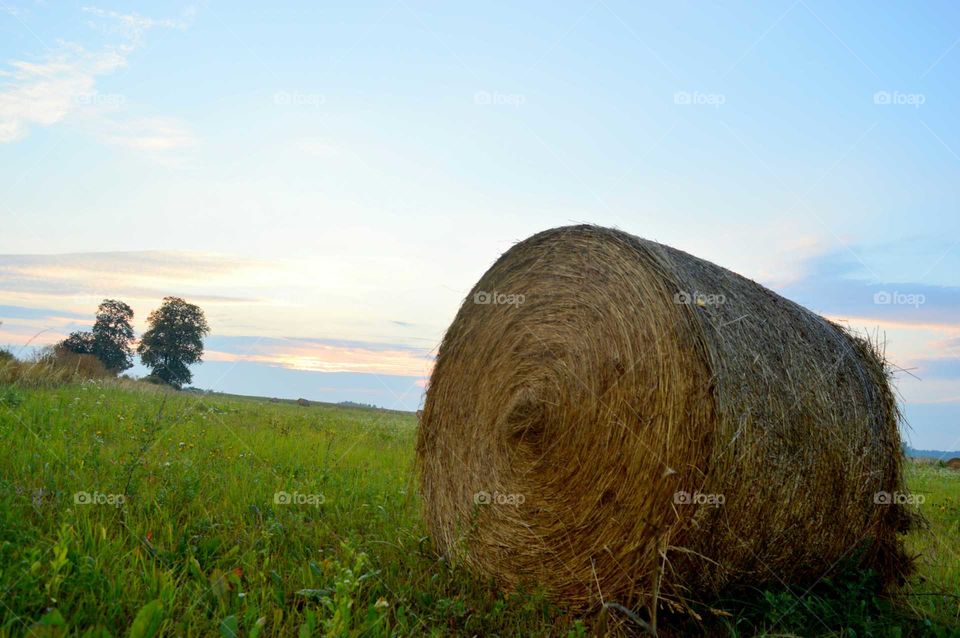 village landscape