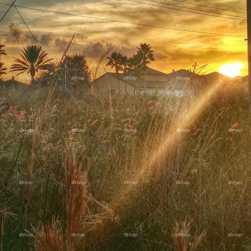 coucher de solei