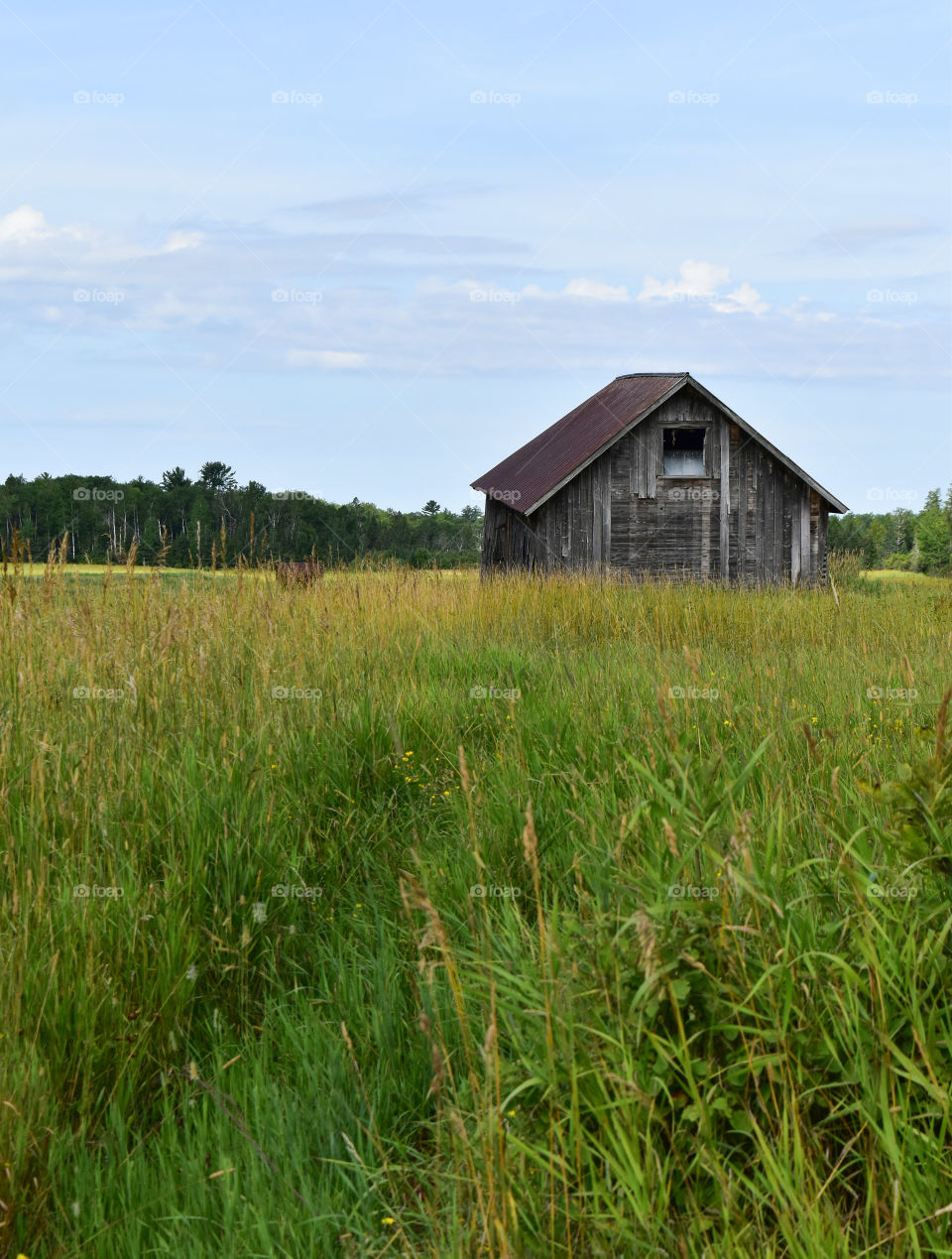 Rustic log cabin in a meadow