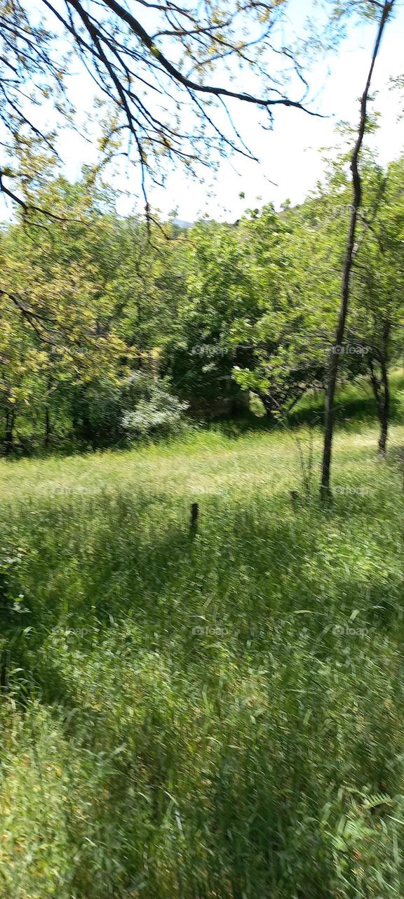 Switzerland Mountain