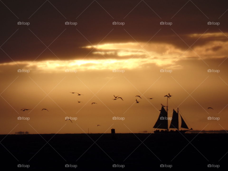 Seagulls and a ship silhouetted by a Florida sunset