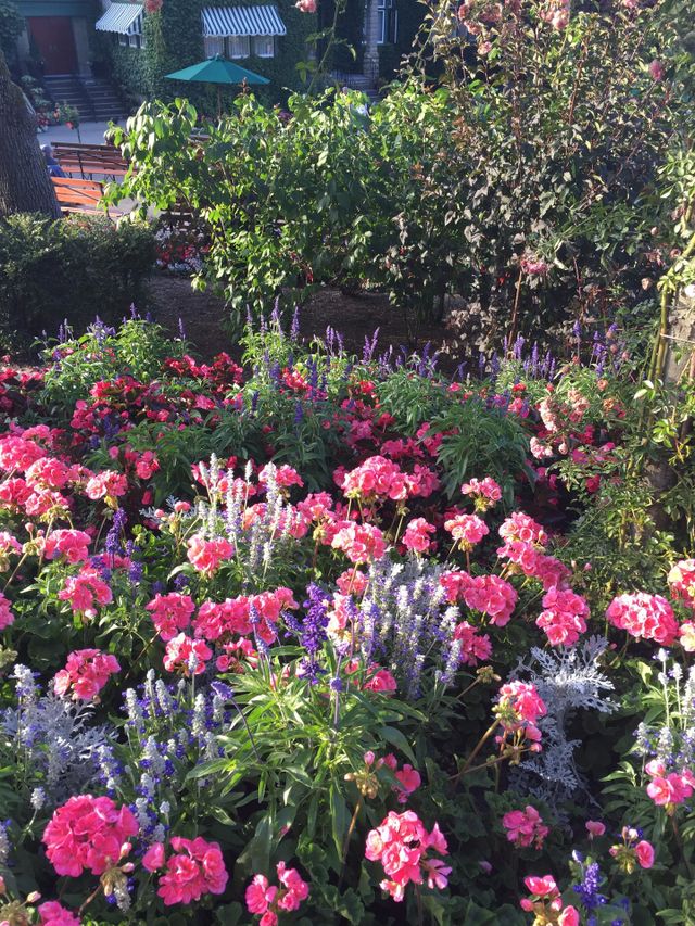 Bunch of blossom 