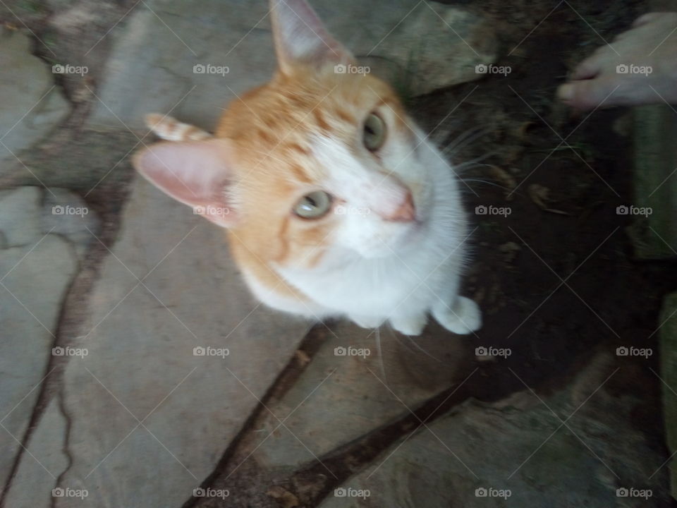 hey whatcha doing there? I know I'm handsome so there, no more pics please please.