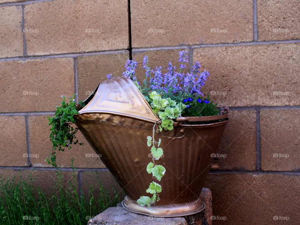 Flower pot