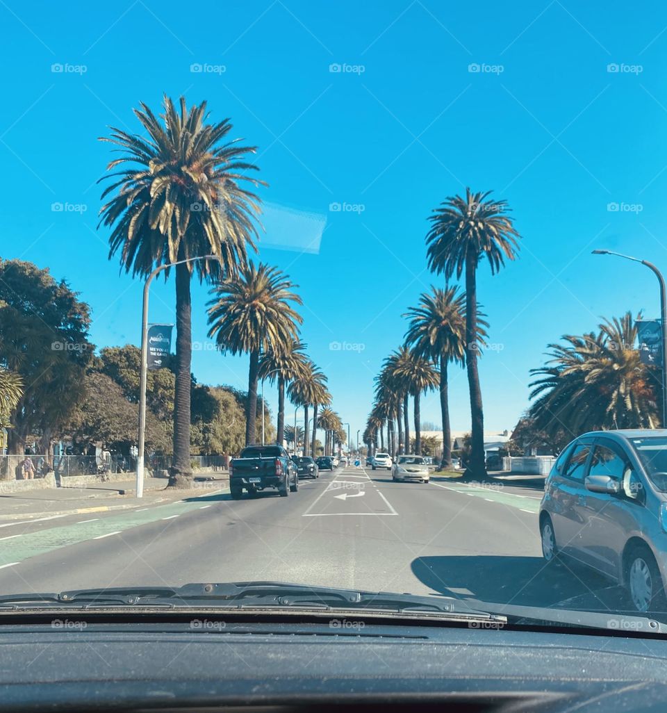 Cruising into summer