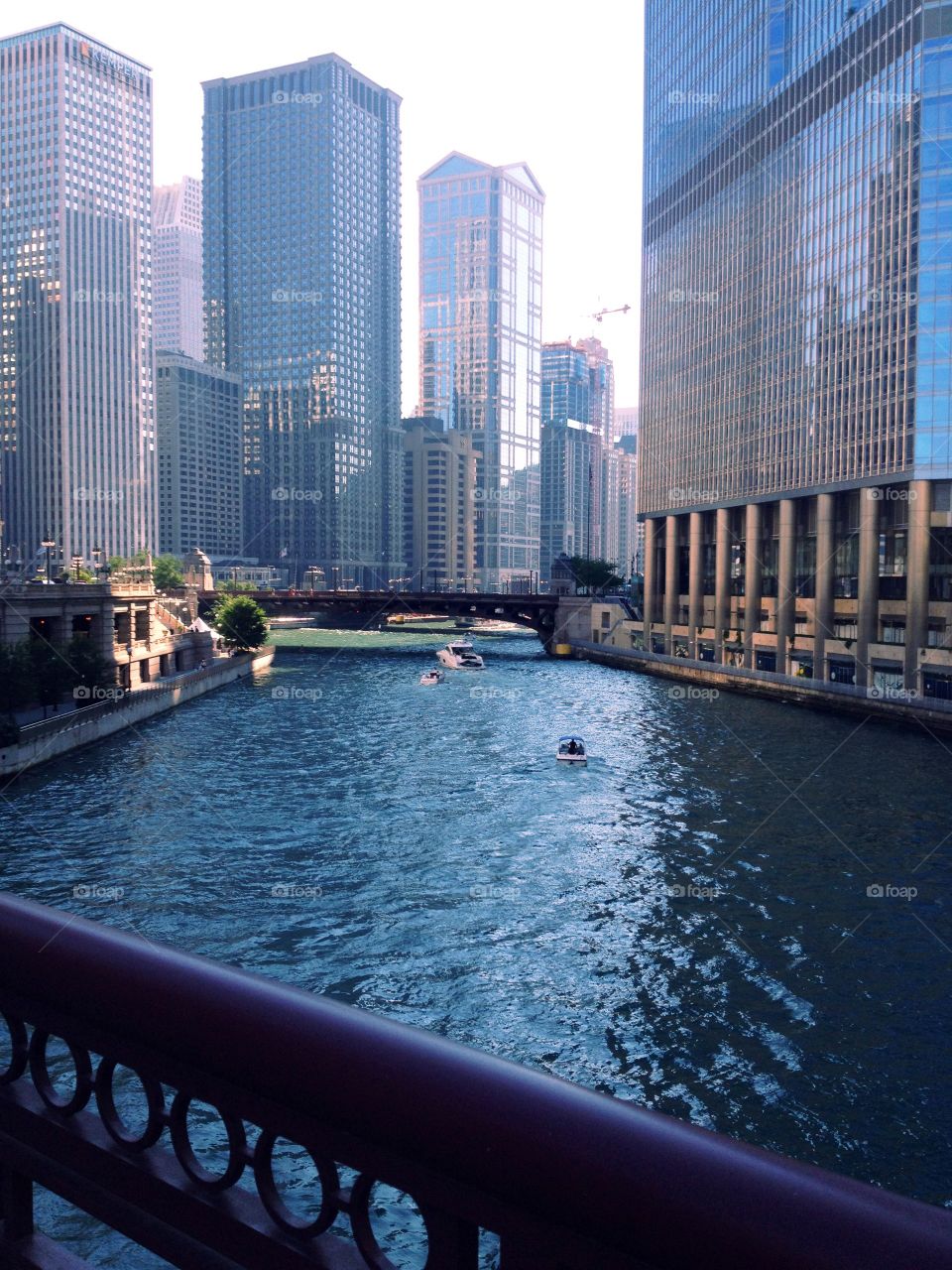 Chicago River. Taken in downtown Chicago while passing over the Chicago River. 