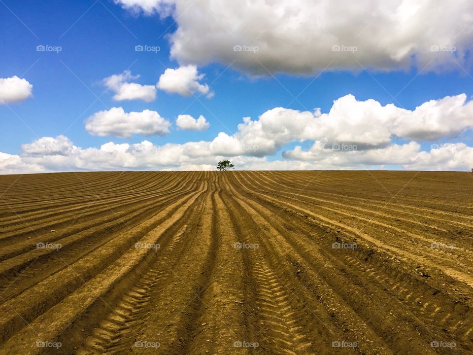 No Person, Agriculture, Landscape, Nature, Soil