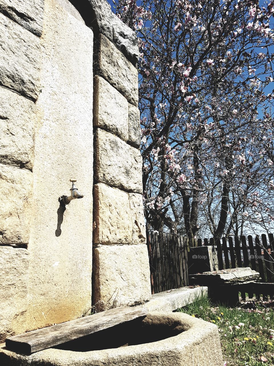 Fountain of health, only in Serbia