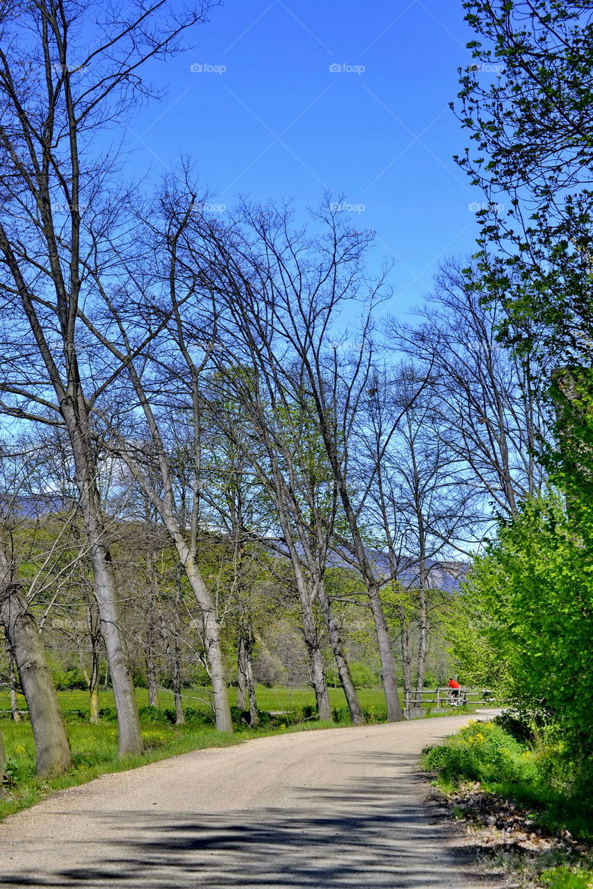 walking in the park