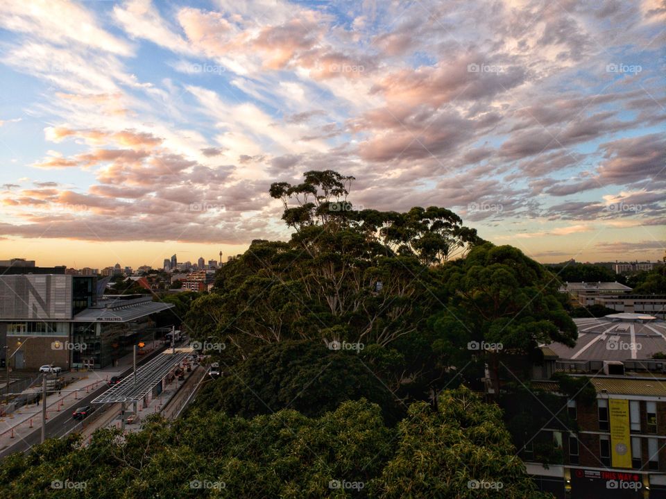 Sunset aerial view of the city skyline at Kingsford, Sydney, Australia. The road at right of image is Anzac Parade.