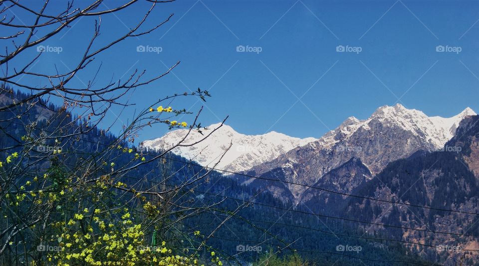 A scenic view of Himachal.