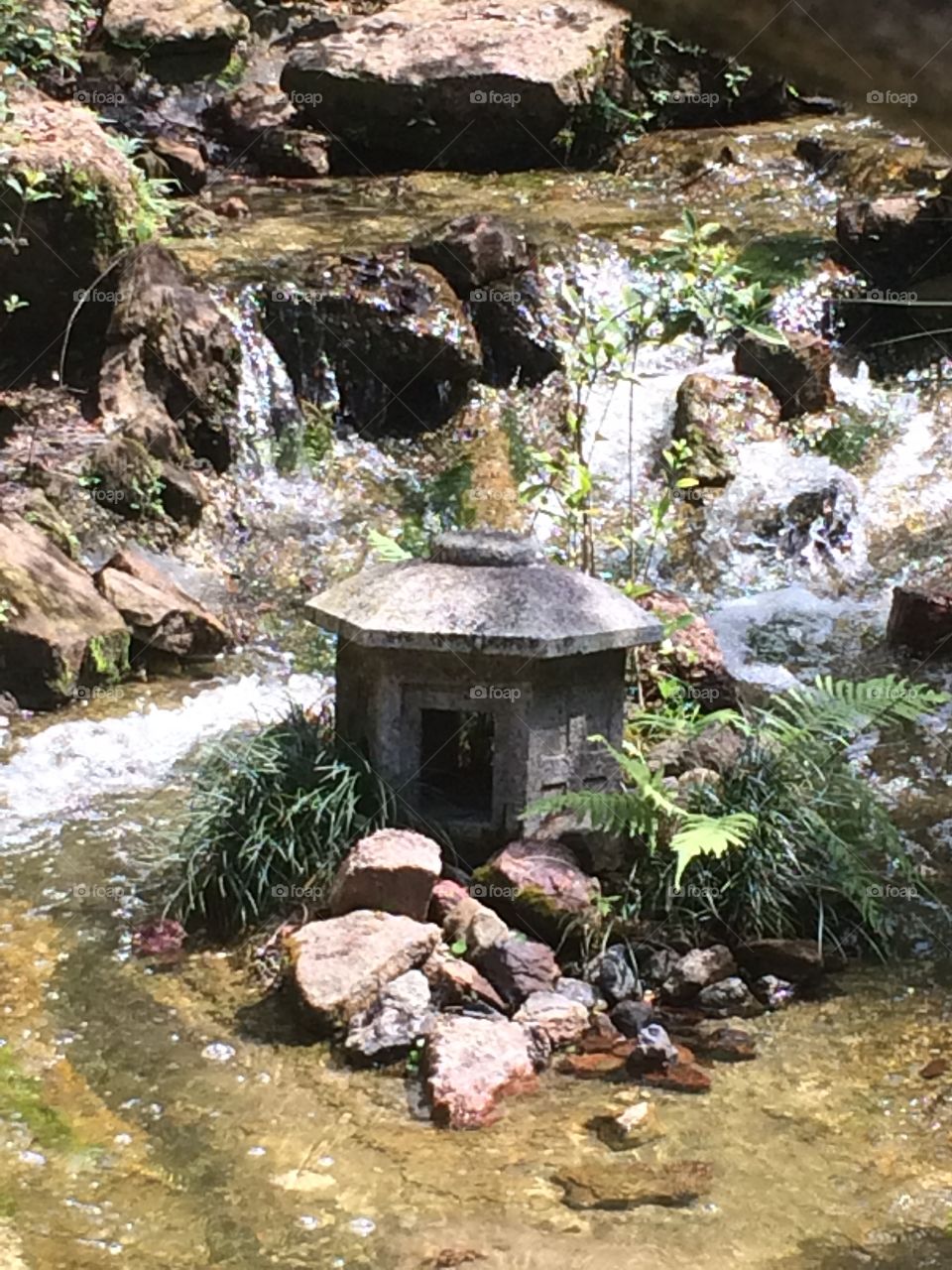 Japanese garden