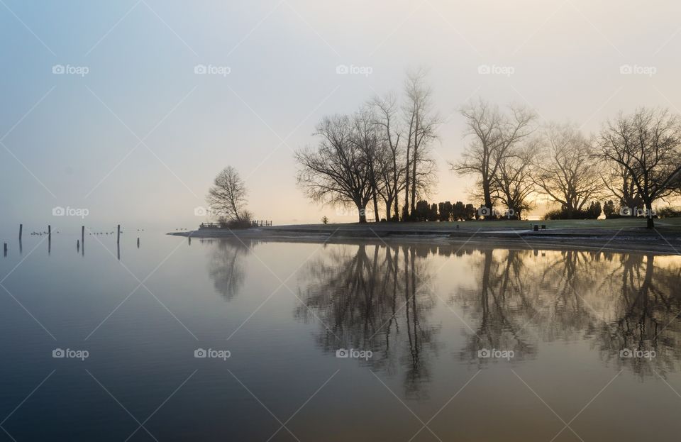 Sunrise through the fog . Sunrise through the fog creating reflections of trees and a beautiful, tranquil scene.