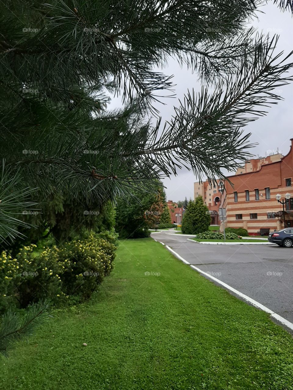 В  пансионате    воздух  хороший!