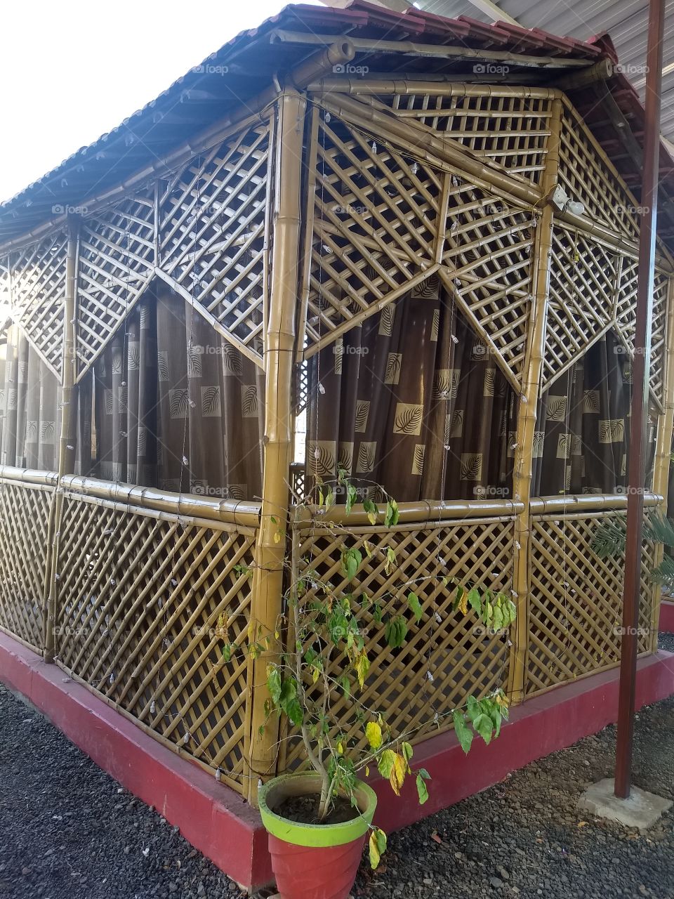 bamboo House