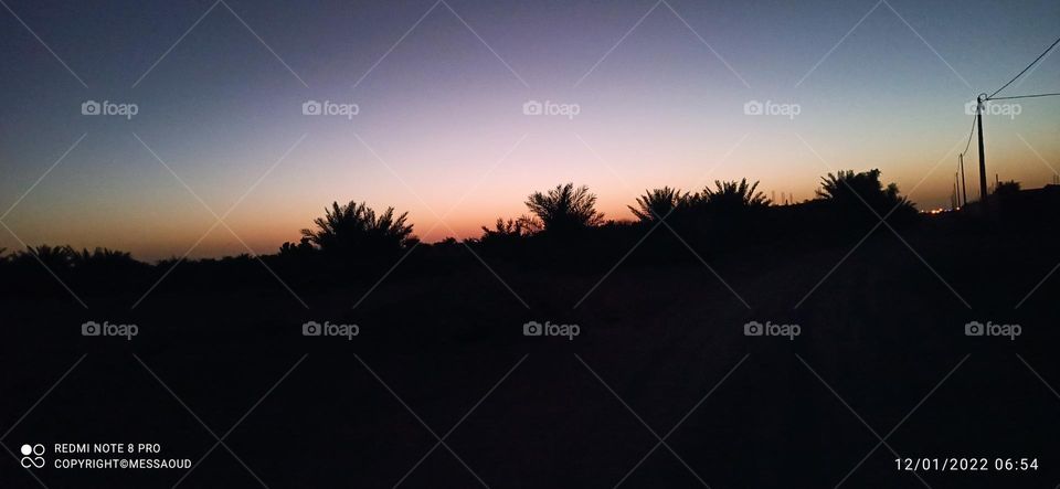 wonderful scene in the sahara