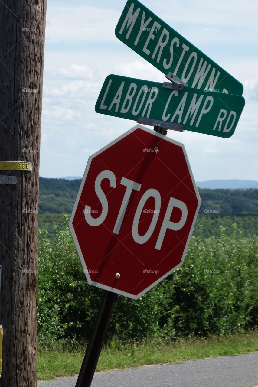 Stop Labor Camp