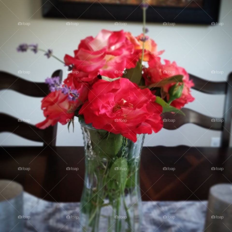 Flower, Vase, Bouquet, Love, Rose
