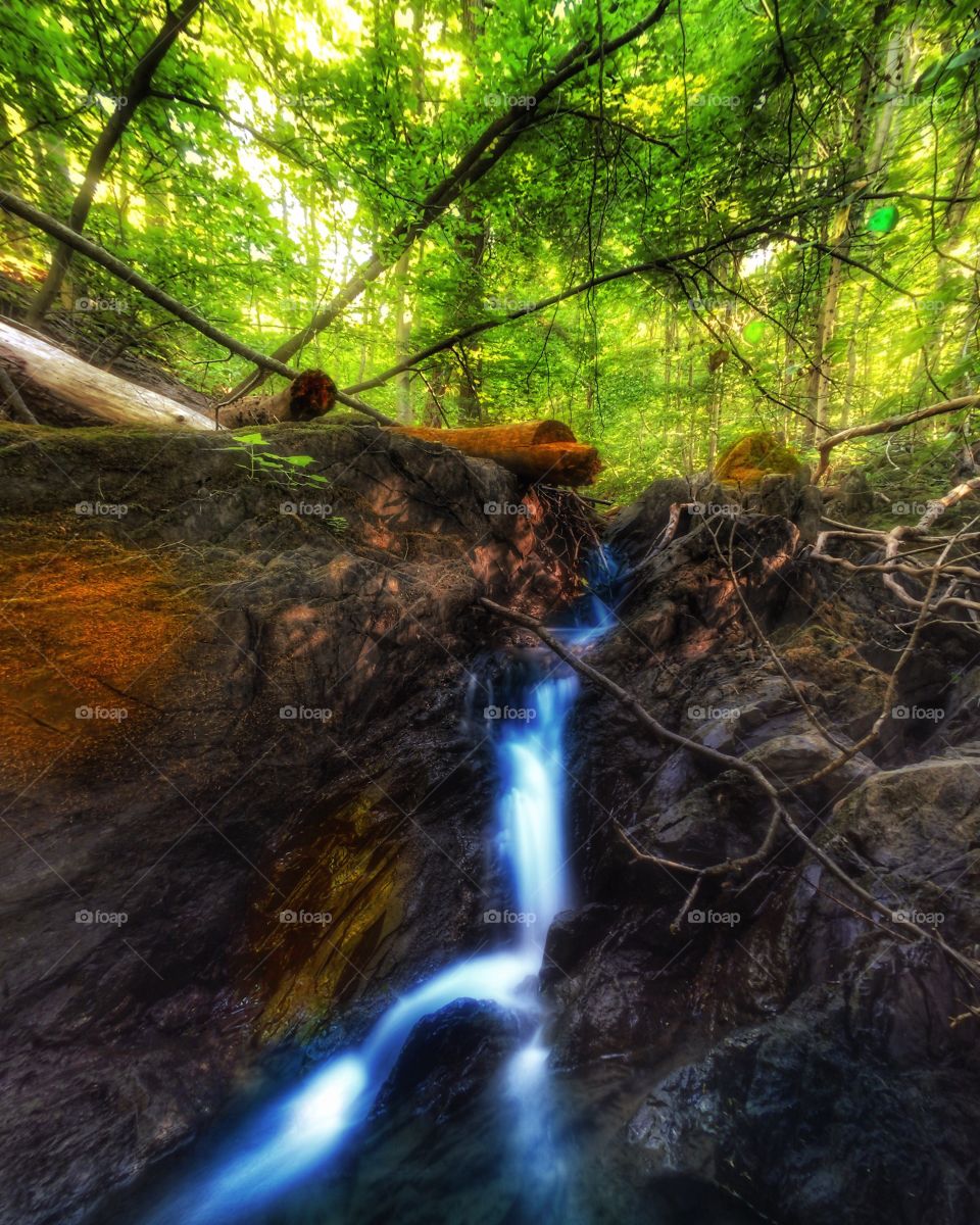 Cascading through the forest. . Sunset in the forest made colors on the trees and steam really pop out. 