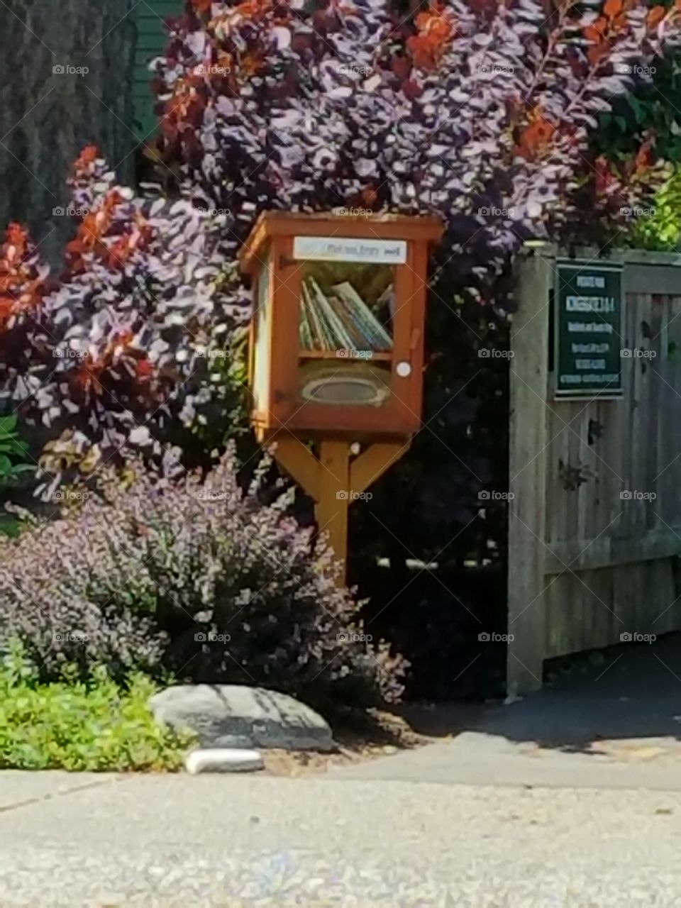 library in the neighborhood
