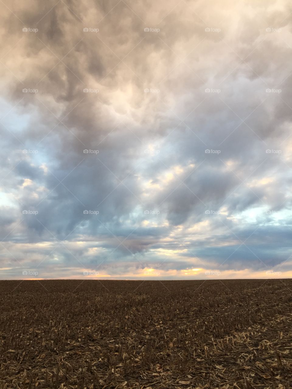 Clouds over field